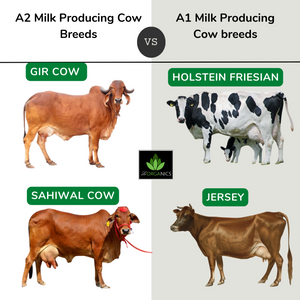 Le-Organics A2 Cow milk in Tetrapak | Pure Gir Cow Milk | UHT Treated | NO Antibiotics | Certified A2 | Pack of 12 - 1 ltr each